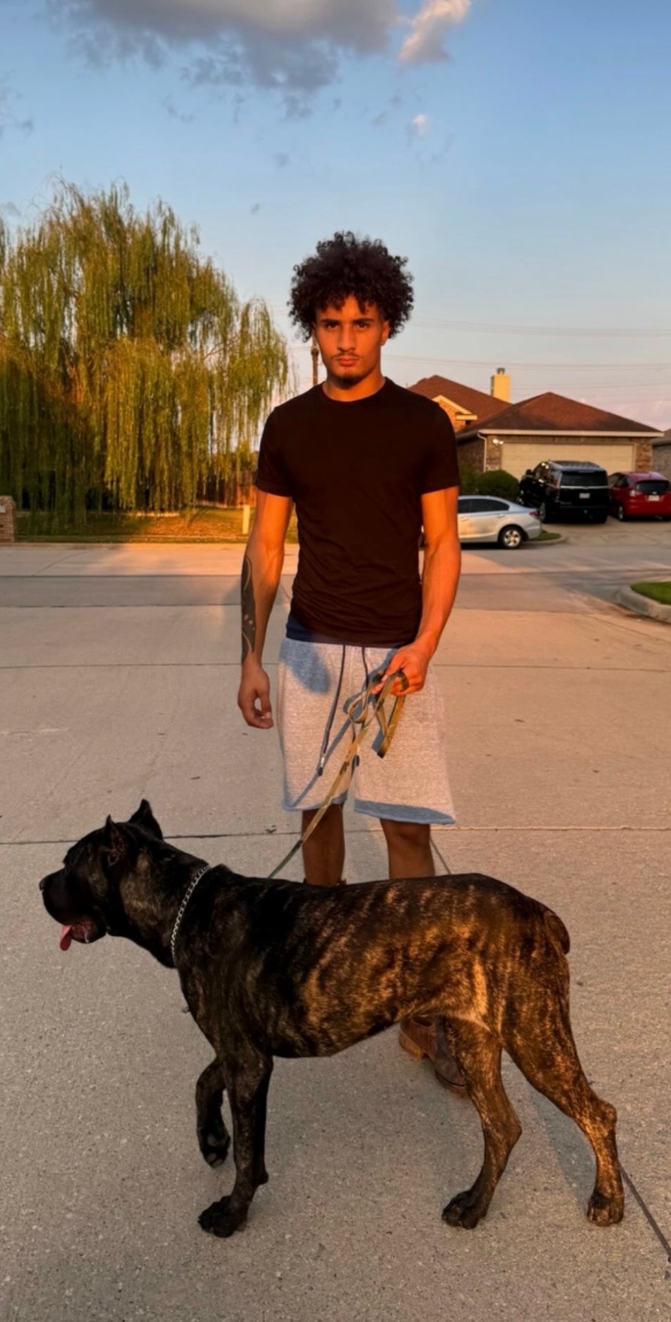 JT walking with his Cane Corso